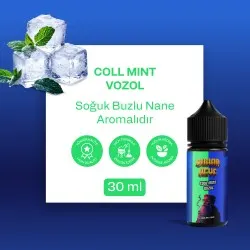 BHK VOZOL - Cool Mint - 30ML Salt Likit