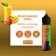 VOZOL Peach Mango Likit - Şeftali Mango 60ML