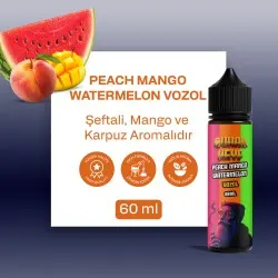 VOZOL - Peach Mango Watermelon  60ML