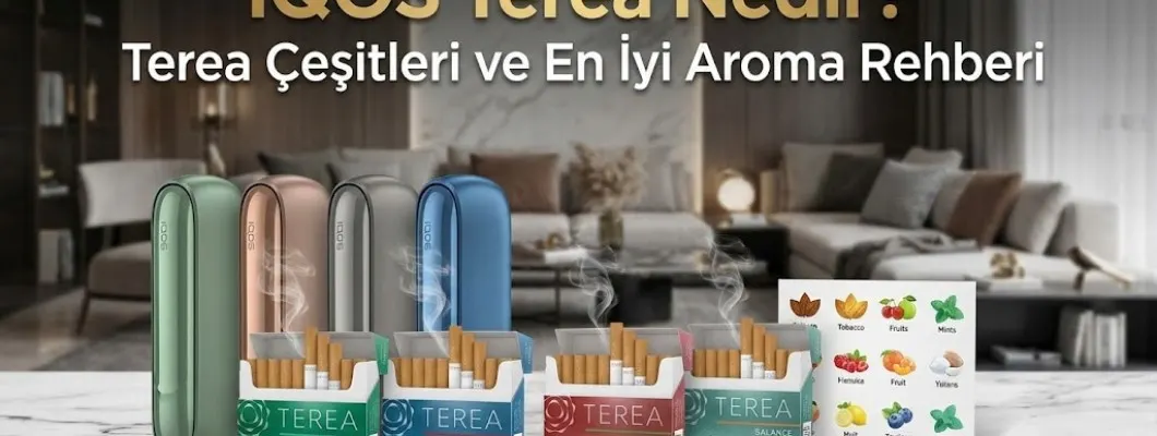 IQOS Terea Nedir? Terea Çeşitleri ve En İyi Aroma Rehberi