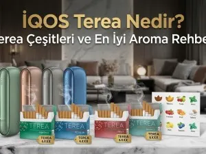 IQOS Terea Nedir? Terea Çeşitleri ve En İyi Aroma Rehberi