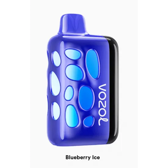 Vozol Rave 40000 Puff