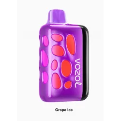 Vozol Rave 40000 Puff