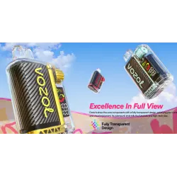 Vozol Vista 20000 Puff